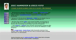 Desktop Screenshot of erichammerin.com
